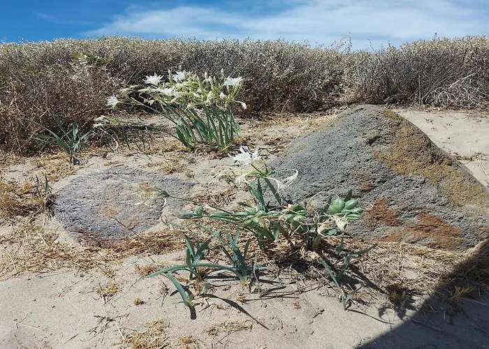 Сasa de vacaciones Résidence Privée, 50 M De La Roquille, Entièrement Climatisé Agde